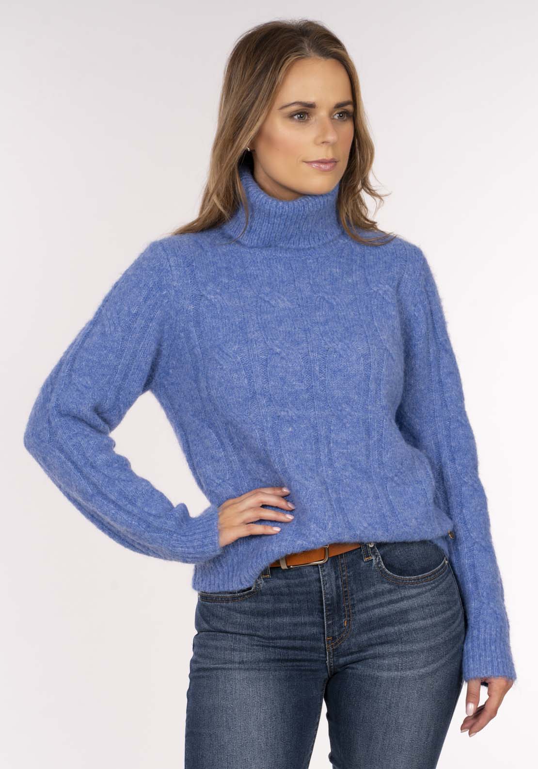 Naoise Roll Neck Cable Sweater - Blue 1 Shaws Department Stores