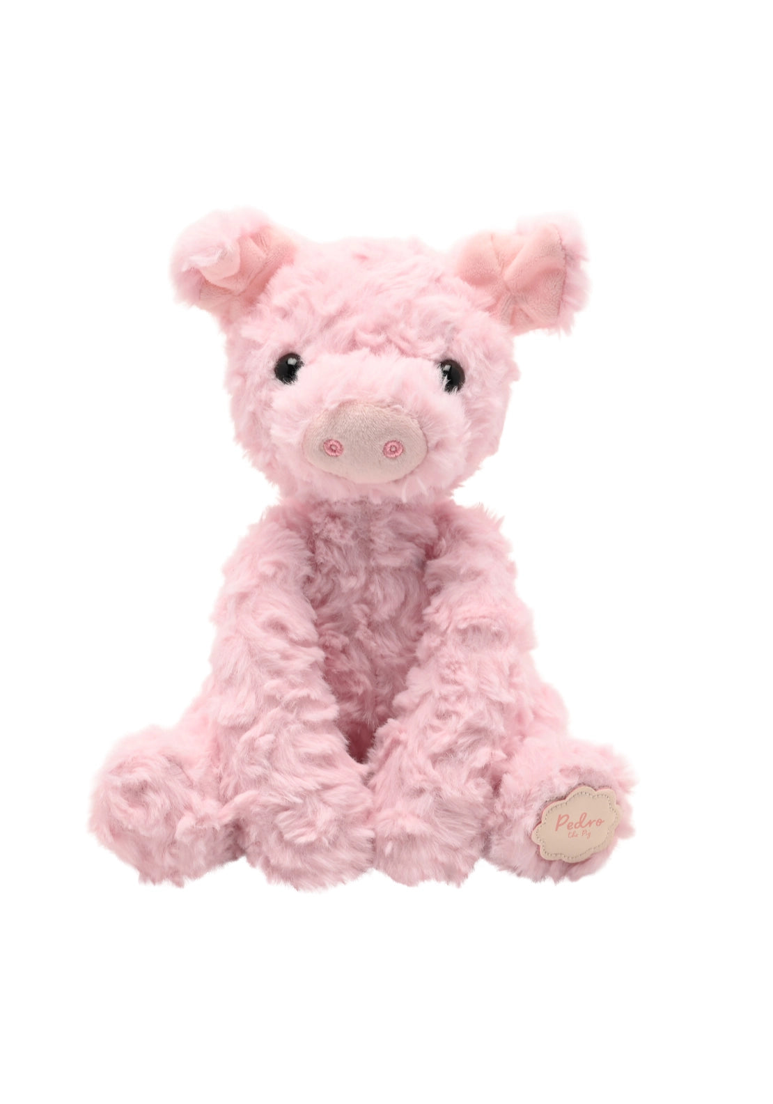 Pedro The Plush Sitting Pig - Multi