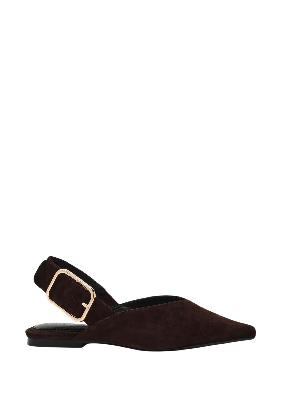 Steve Madden Flat Side Buckle Slip On Shoe - Brown 1 Shaws Department Stores