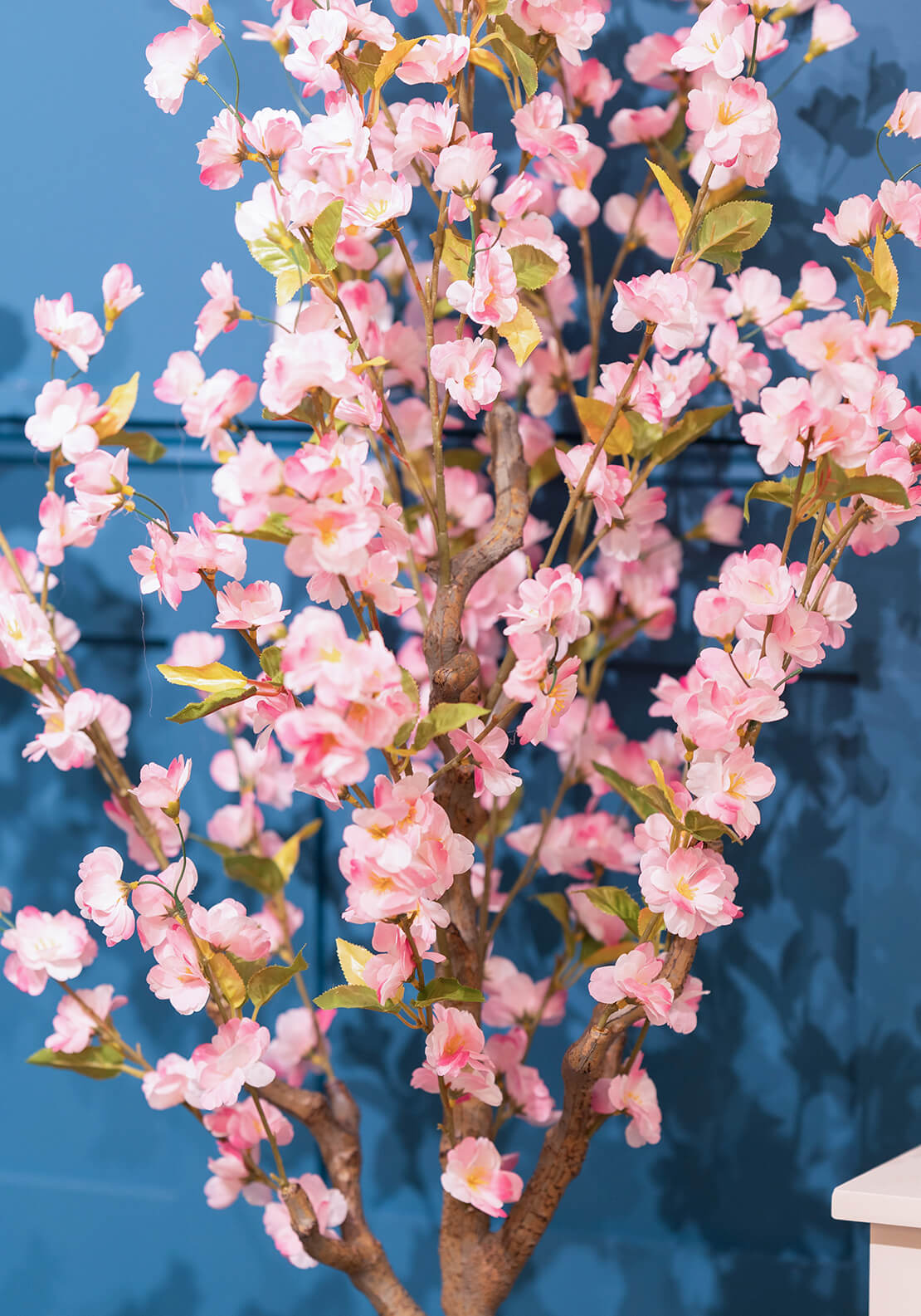 The Home Collection Artificial Cherry Tree Pink 3 Shaws Department Stores