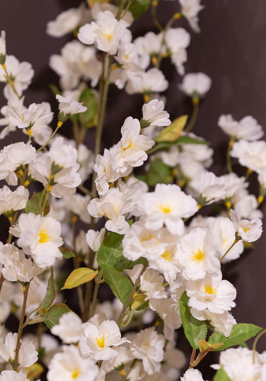 The Home Collection Artificial Cherry Tree White 3 Shaws Department Stores