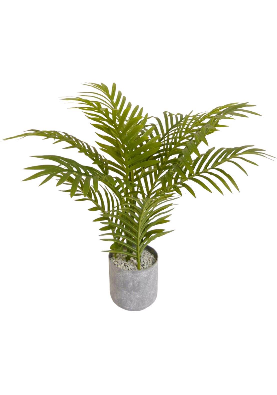 The Home Collection Artificial Mini Palm 1 Shaws Department Stores
