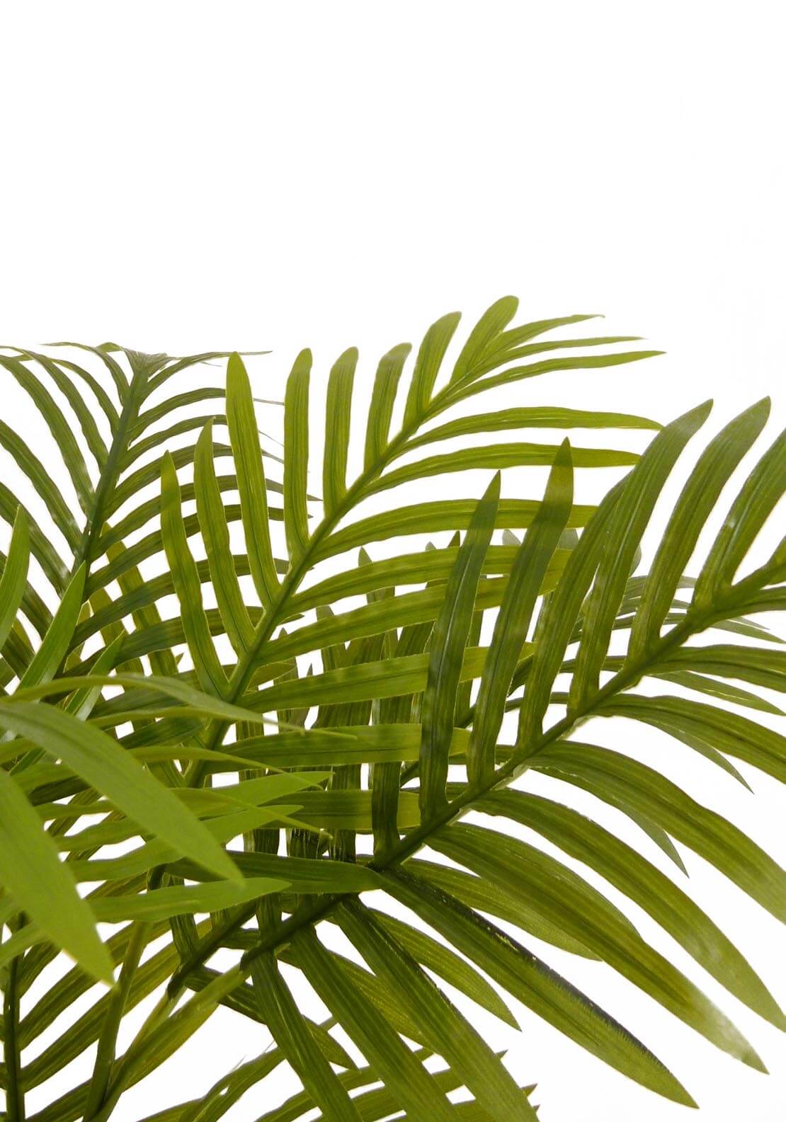 The Home Collection Artificial Mini Palm 4 Shaws Department Stores