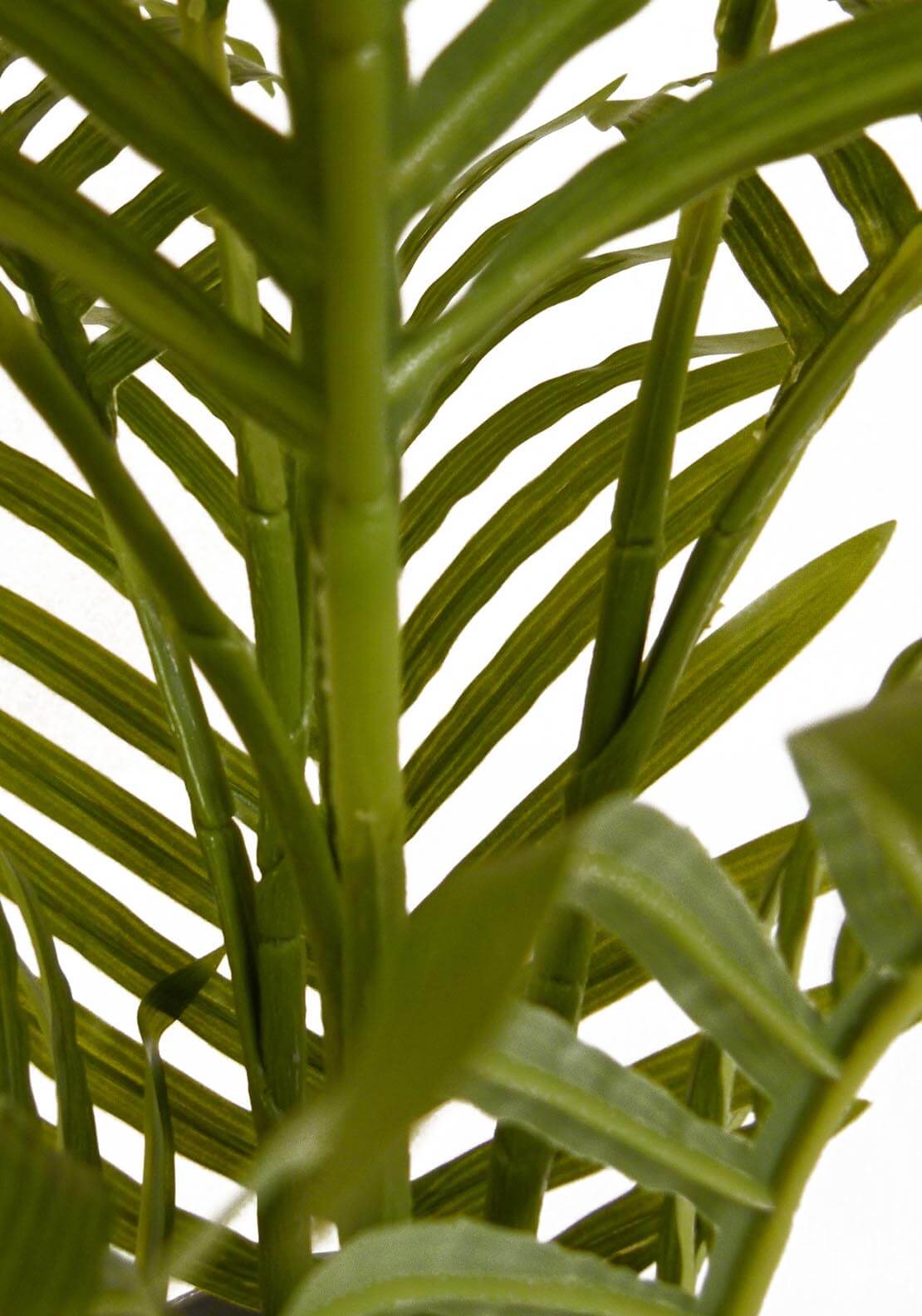 The Home Collection Artificial Mini Palm 2 Shaws Department Stores