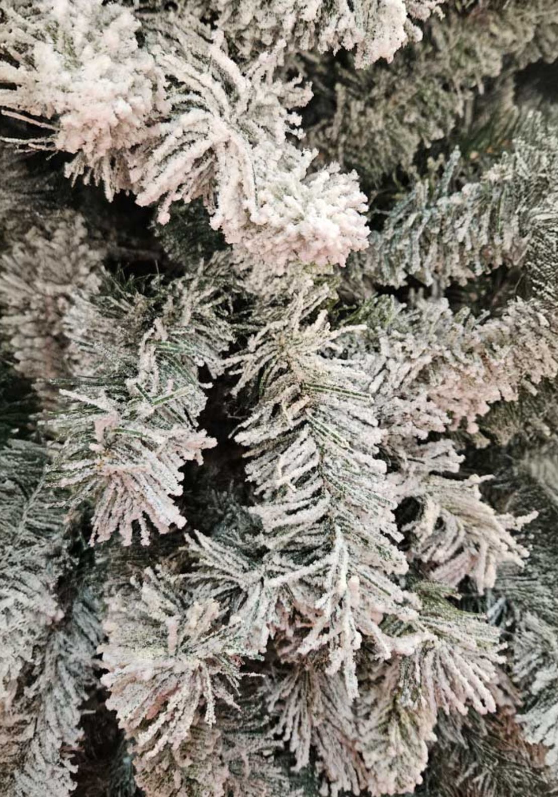 The Home Christmas 7ft Flocked Christmas Tree - White-green 3 Shaws Department Stores
