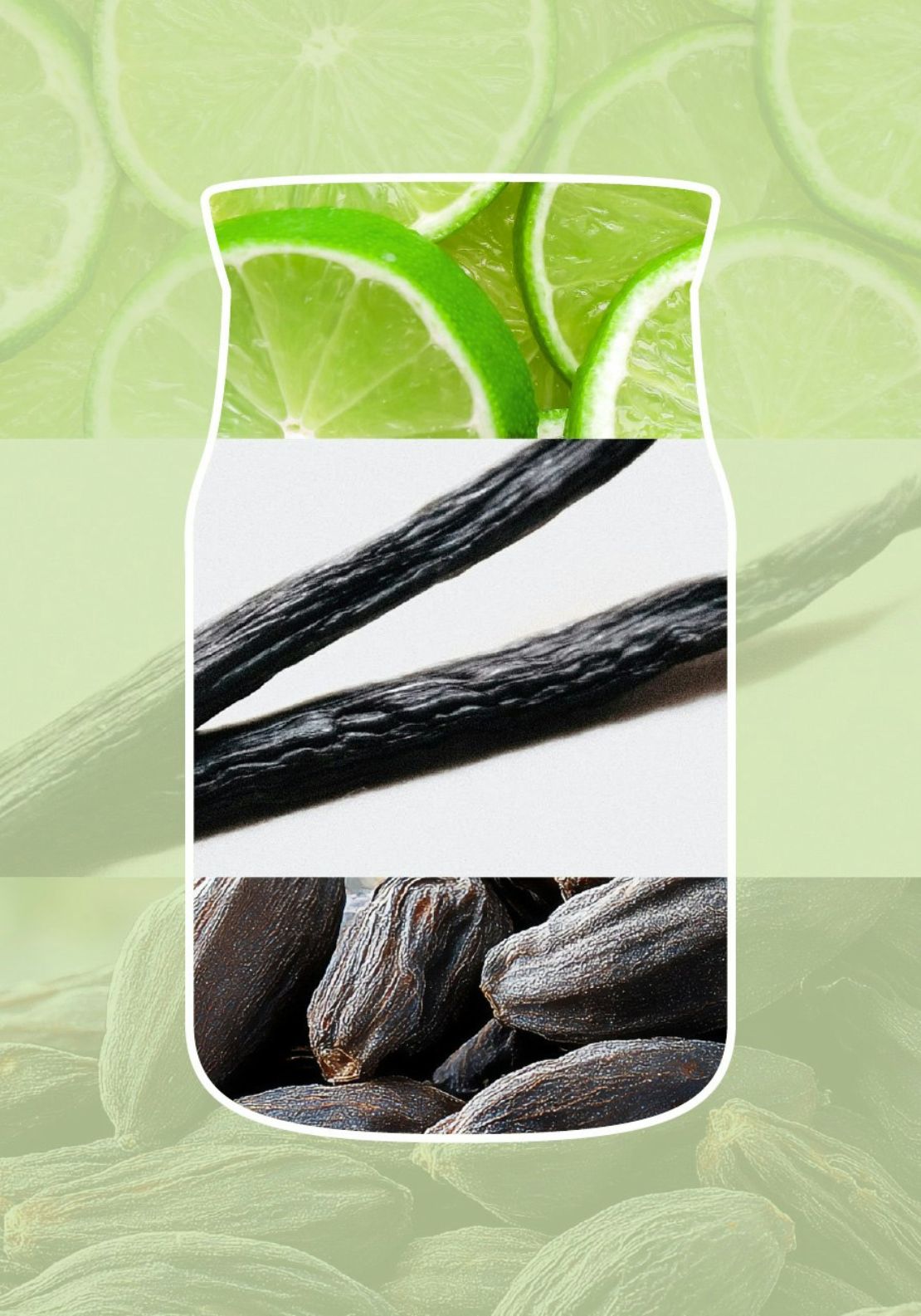Signature Large Jar Vanilla - Green
