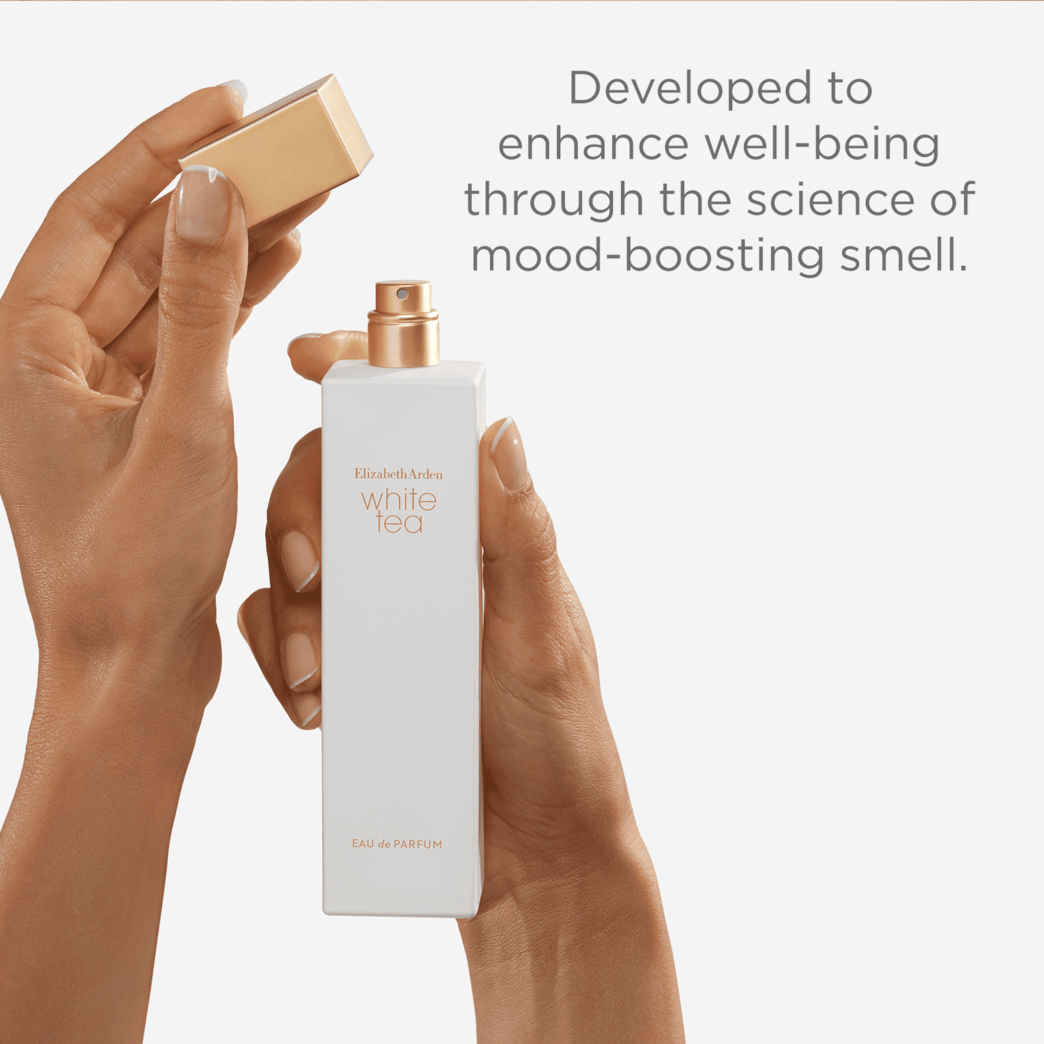 Elizabeth Arden White Tea Eau de Parfum 5 Shaws Department Stores