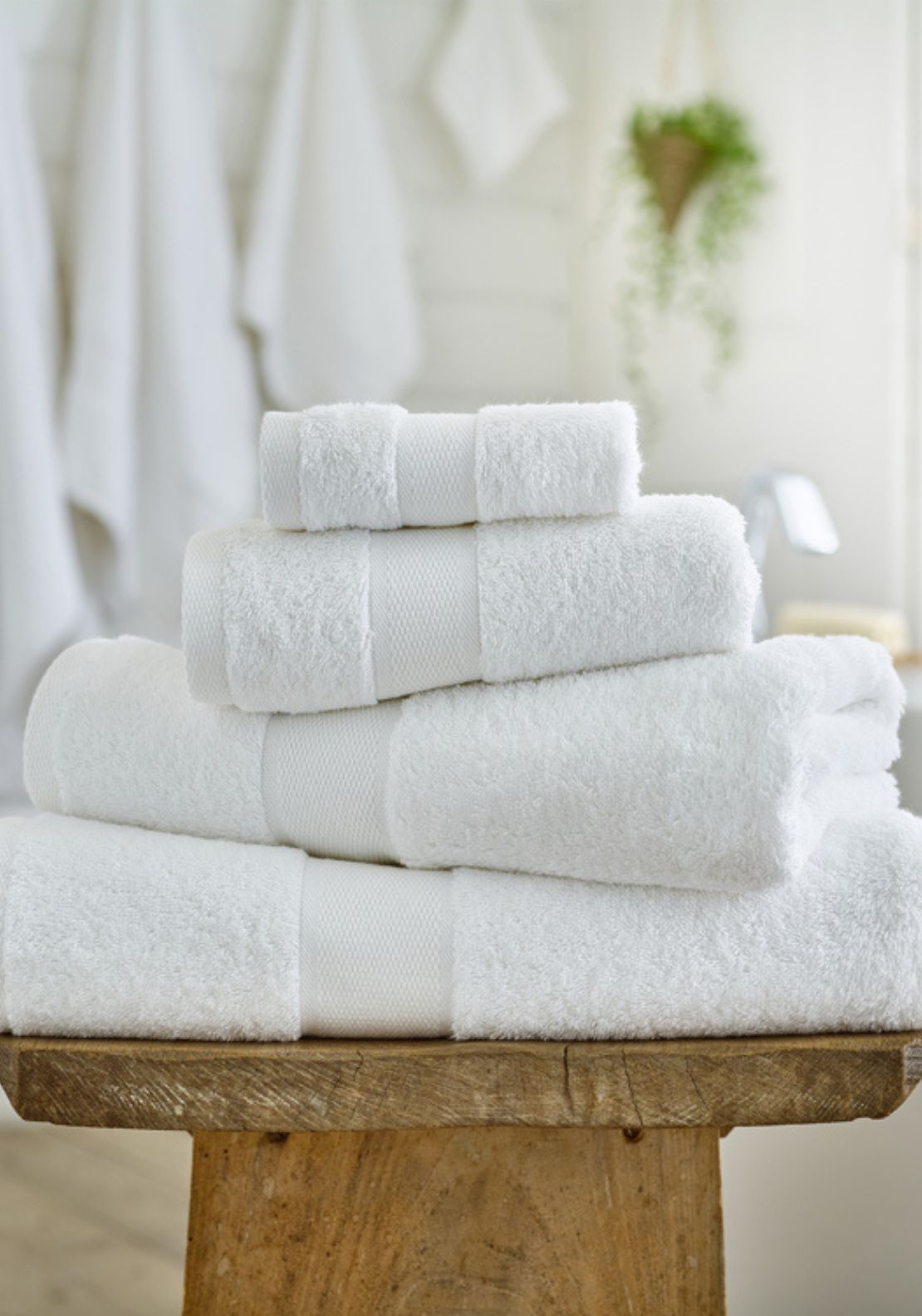Egyptian Embrace Egyptian Cotton Towel 550gsm - White 1 Shaws Department Stores