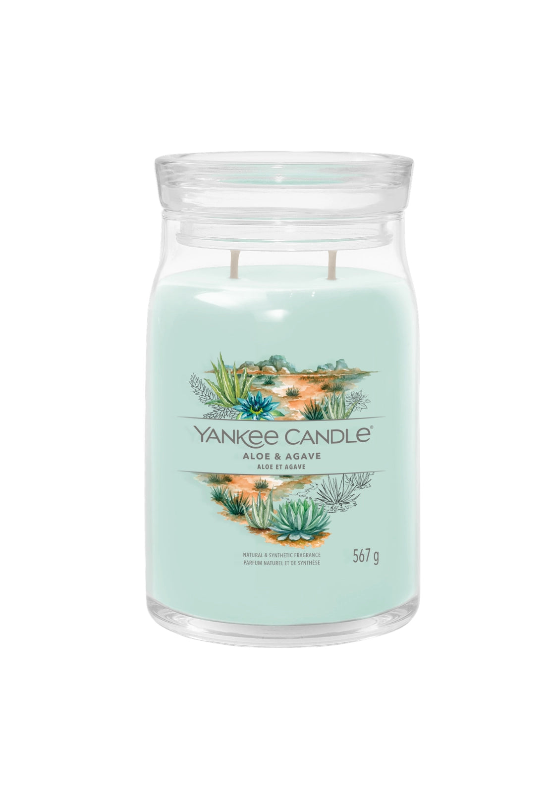 Signature Large Jar - Aloe&agave