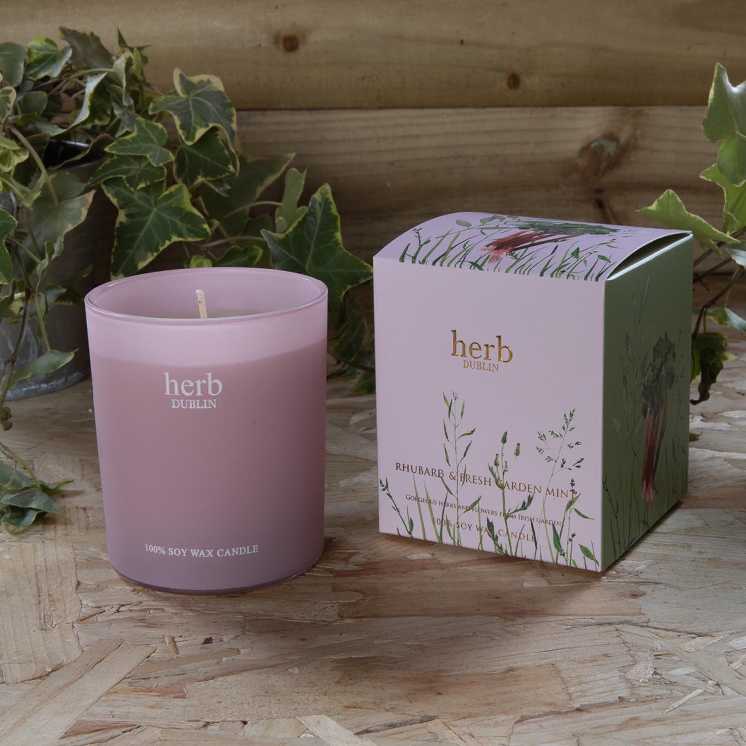 Herb Dublin Rhubarb Candle-Tin Tall 180g - Rhubarb 1 Shaws Department Stores