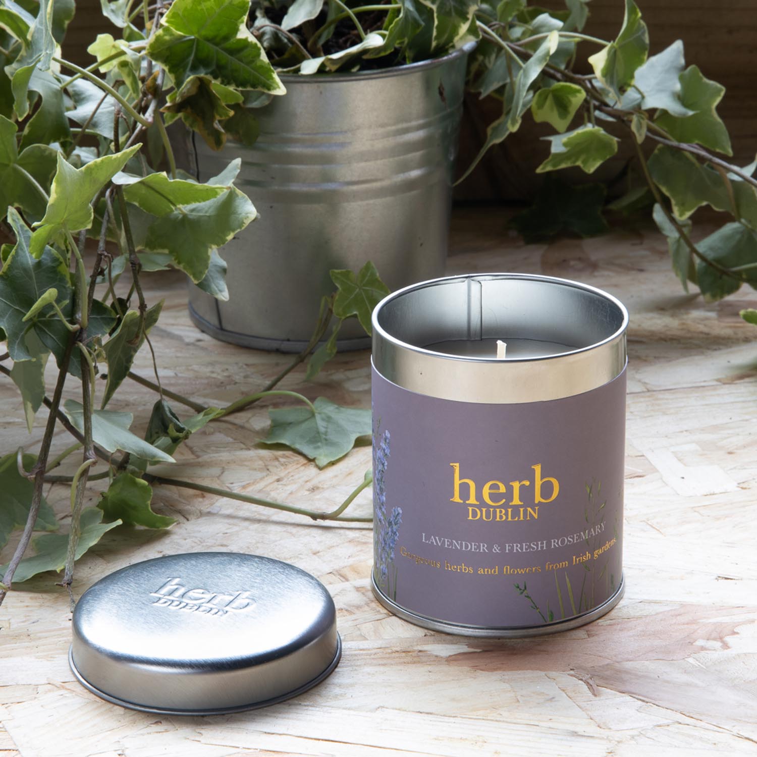 Herb Dublin Lavender Candle-Tin Tall 180g - Purple 1 Shaws Department Stores