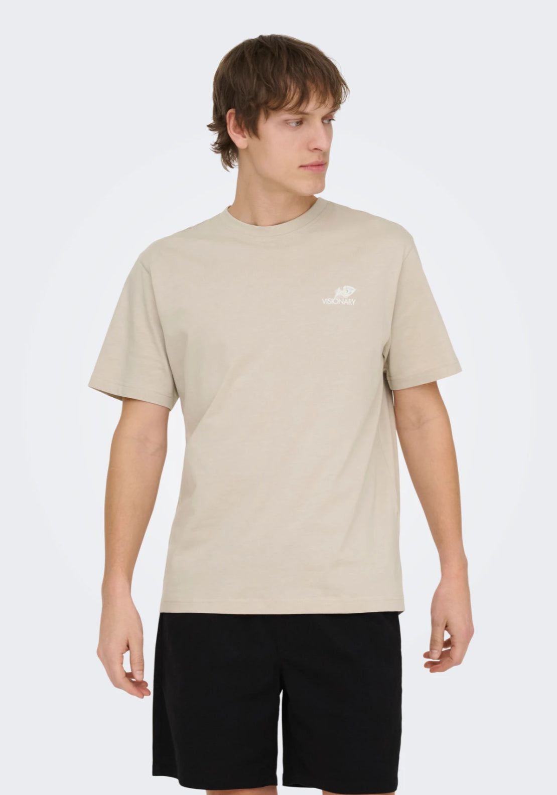 Only & Sons Fred T-Shirt - Silver Lining 4 Shaws Department Stores