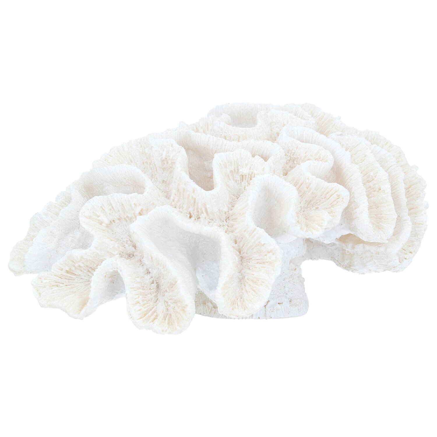 Gisella Graham Resin Frill Coral Ornament - Large 1 Shaws Department Stores