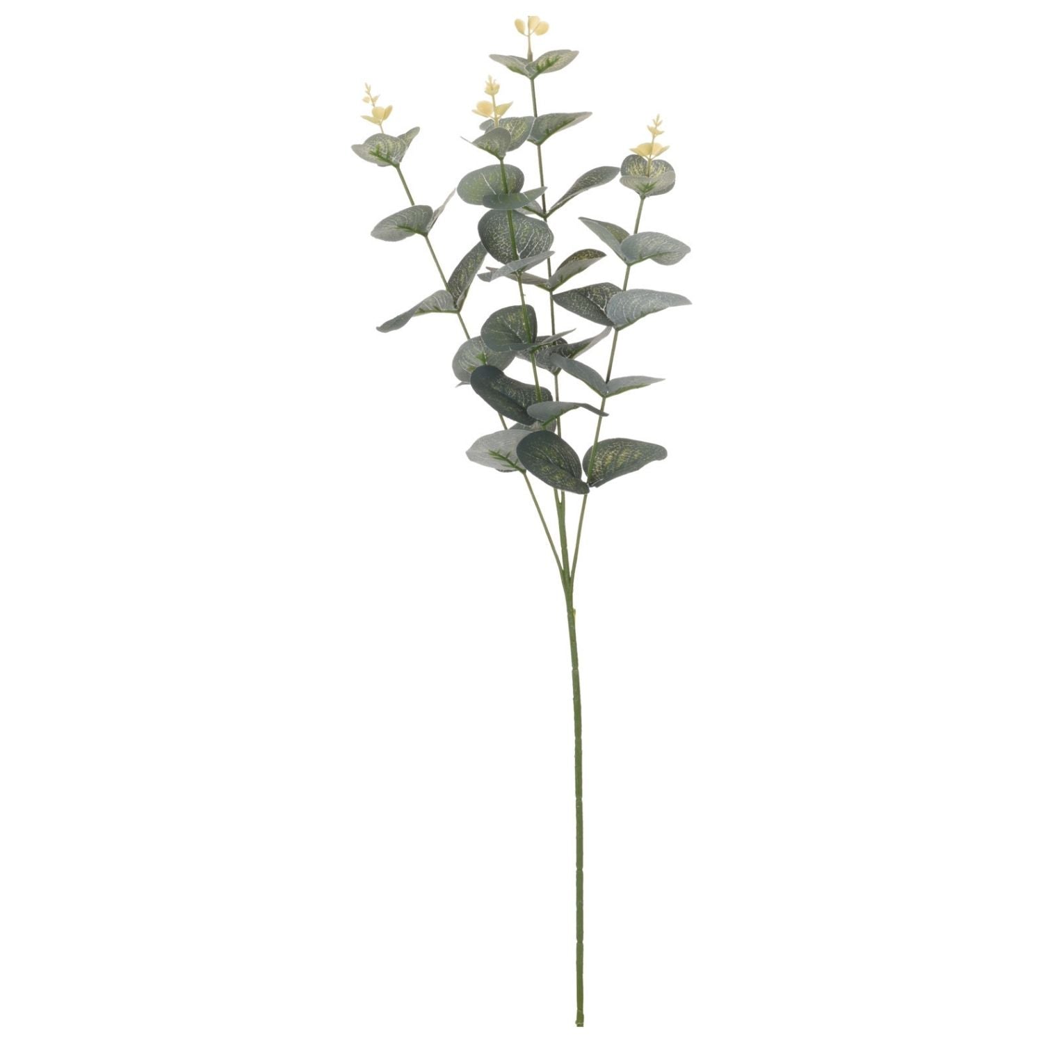 Koopman Eucalyptus - 65cm 1 Shaws Department Stores