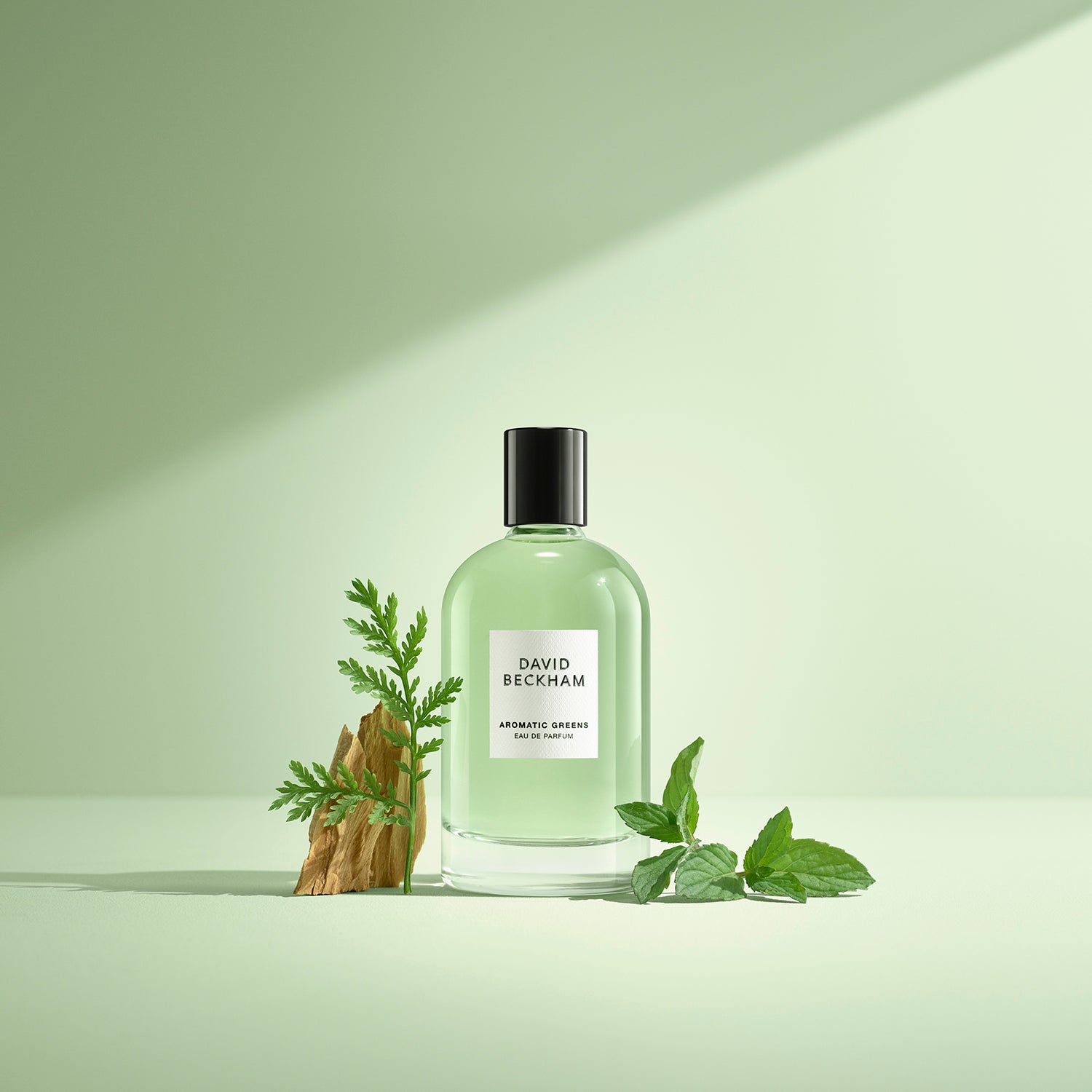 Beckham Aromatic Greens Eau de Parfum for Men - 100ml 2 Shaws Department Stores