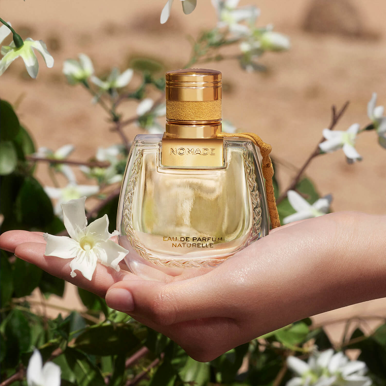 Chloe Nomade Eau de Parfum Naturelle 4 Shaws Department Stores