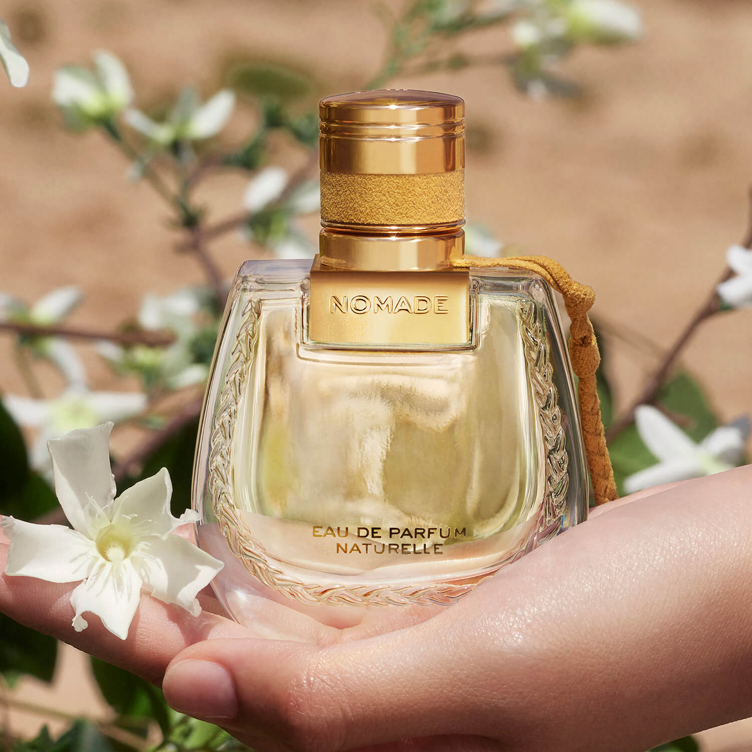 Chloe Nomade Eau de Parfum Naturelle 6 Shaws Department Stores