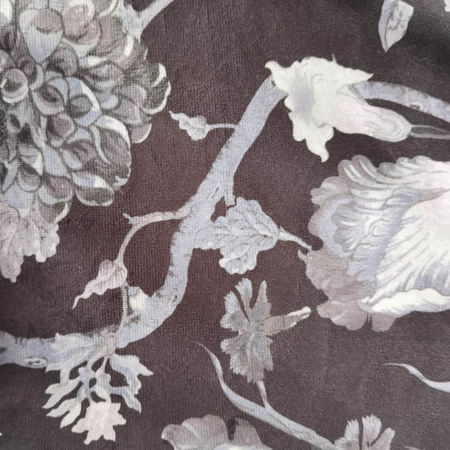 The Home Collection Floral Velvet Curtains 90" x 90" - Black 4 Shaws Department Stores