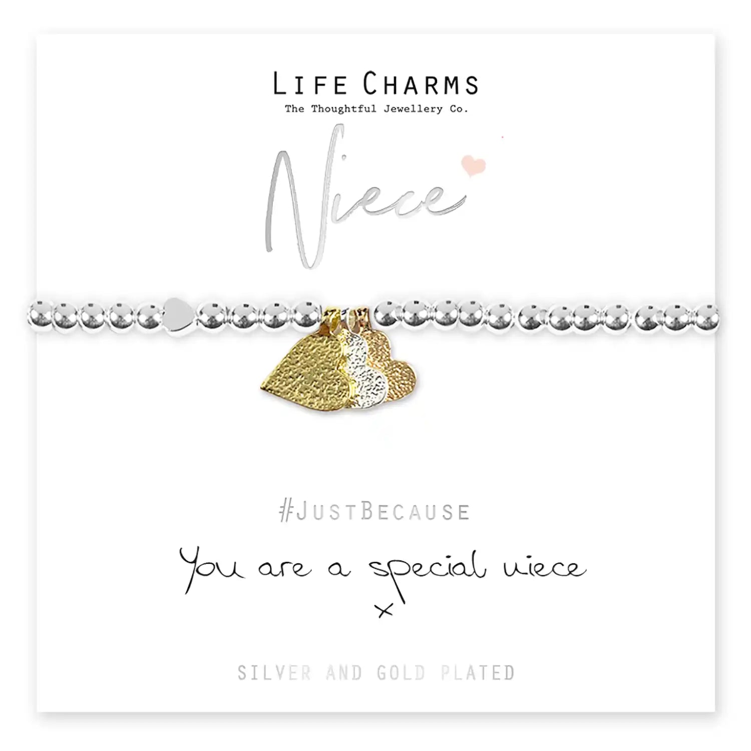 Life Charms Special Niece Bracelet - Silver 2 Shaws Department Stores