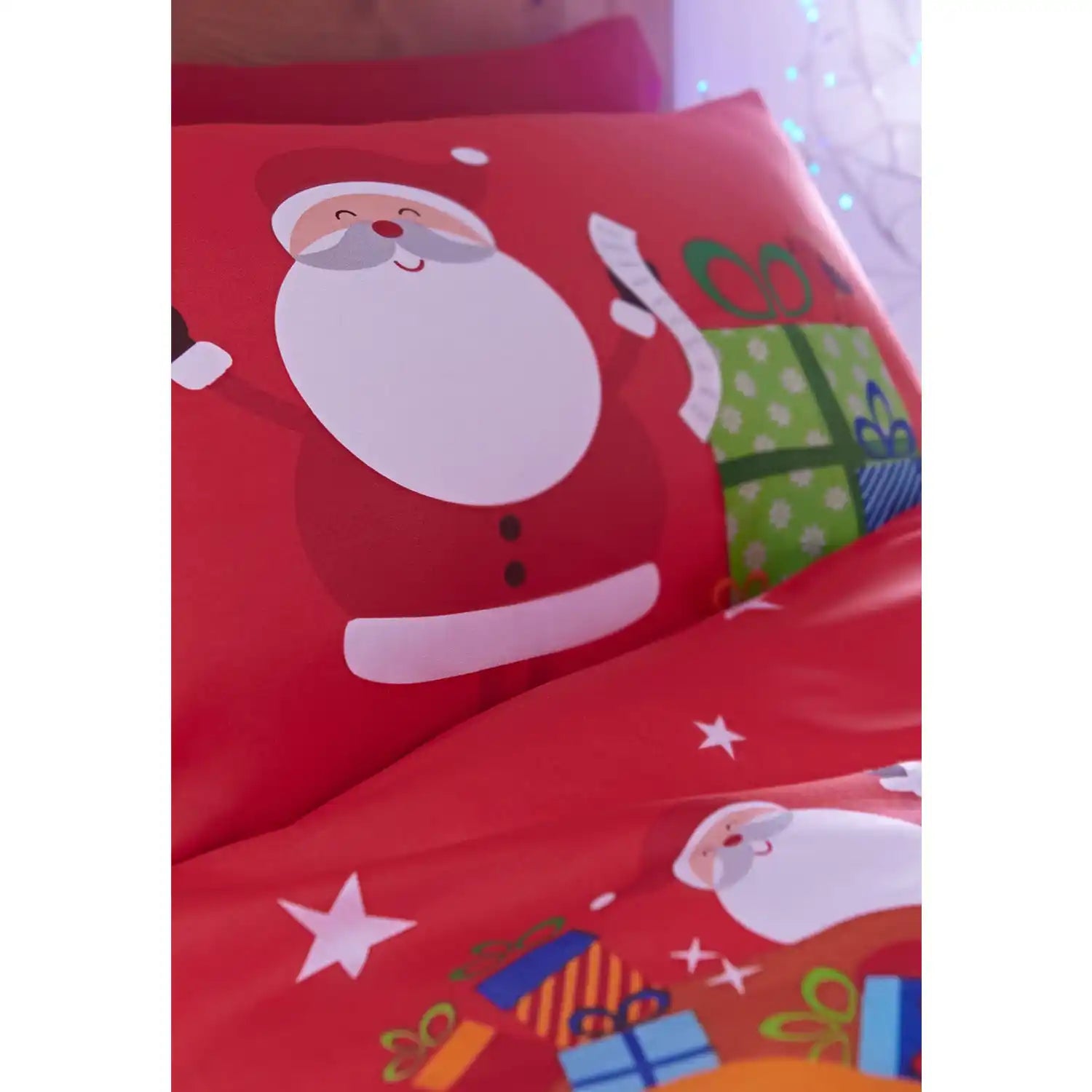 Catherine Lansfield Santa&