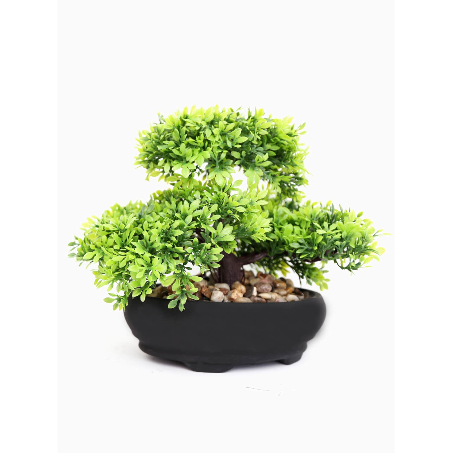 The Home Bonsai Tree - 17cm 1 Shaws Department Stores