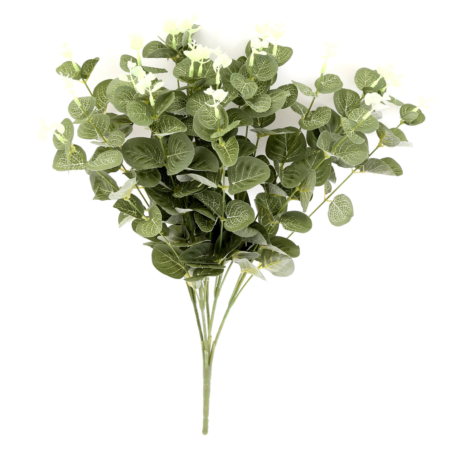 The Home Eucalyptus Bunch 1 Shaws Department Stores