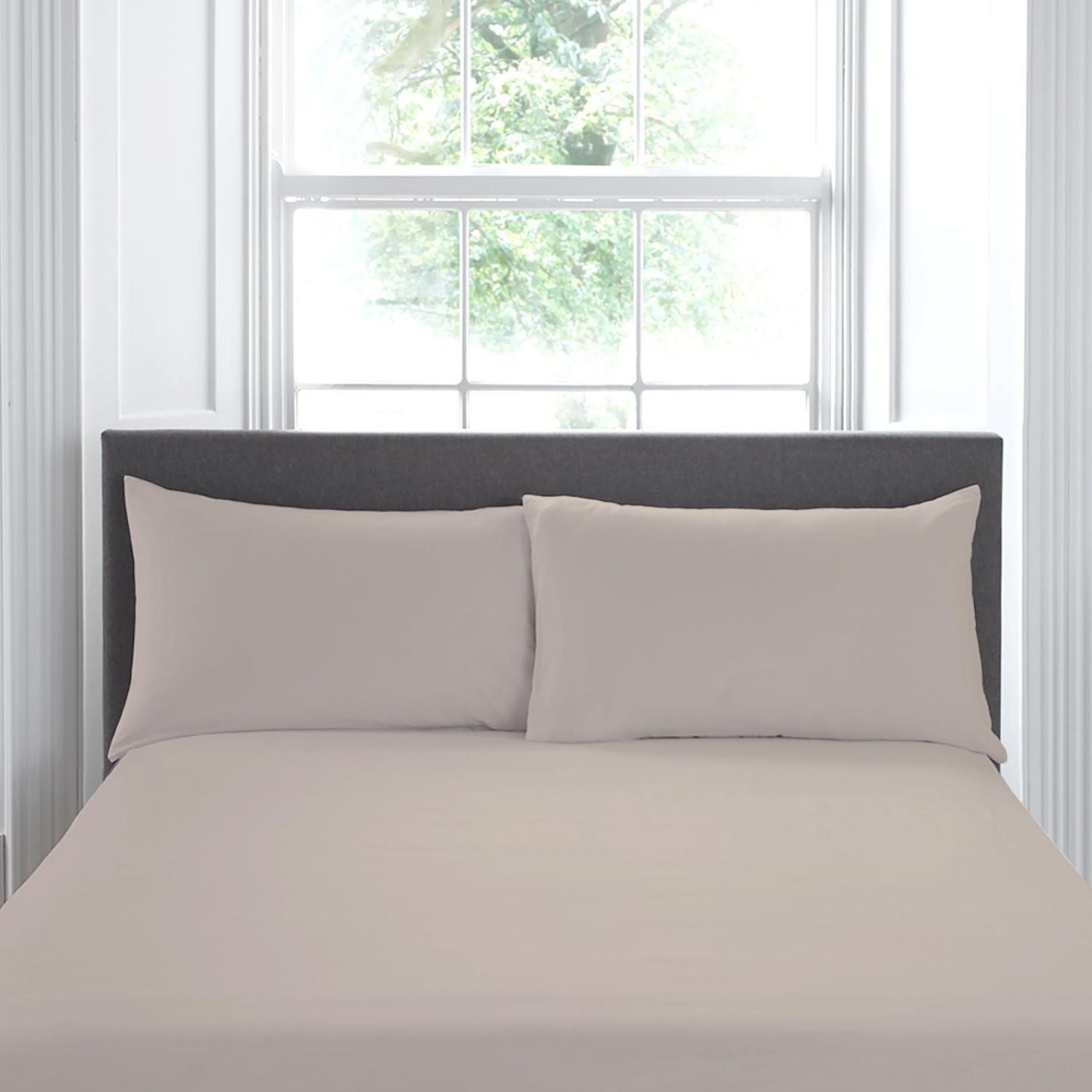 Appletree Housewife Pillowcase Pair - Linen 1 Shaws Department Stores