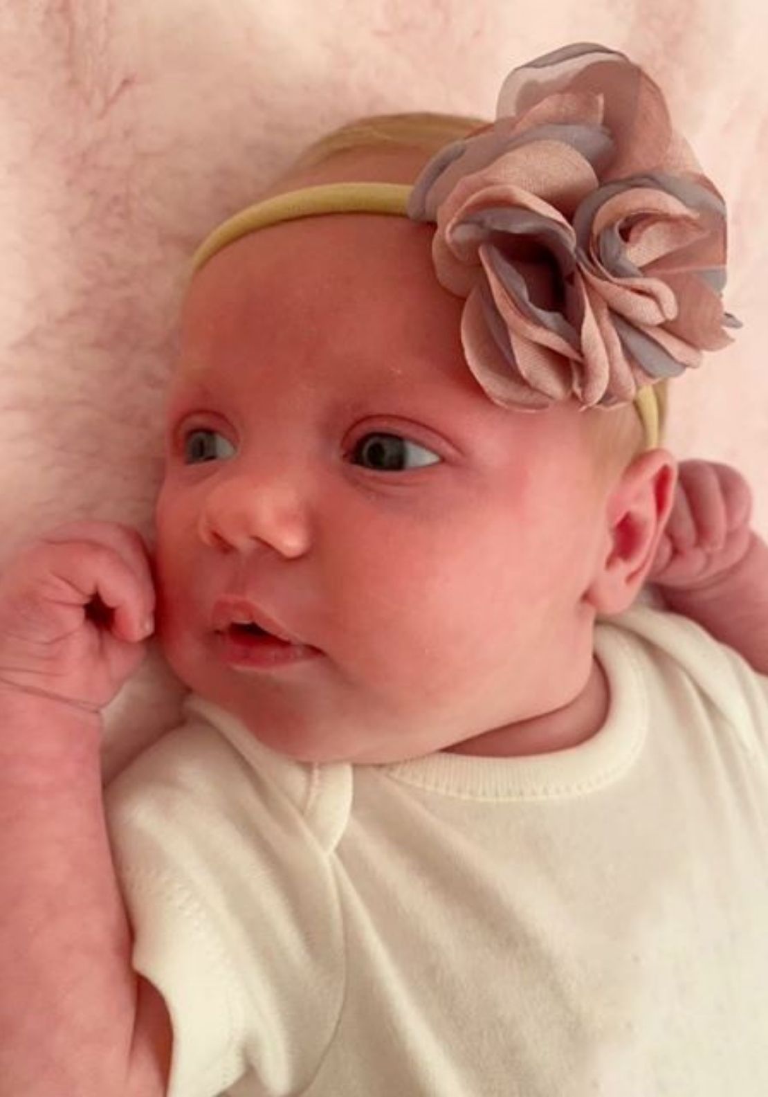 Special Occasion 3 Pack Bows - Pink