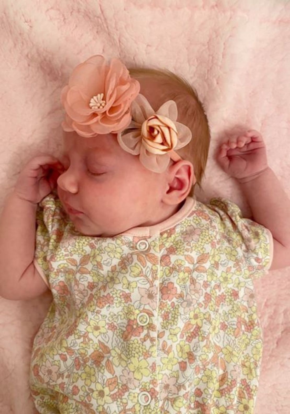 Special Occasion 3 Pack Bows - Pink