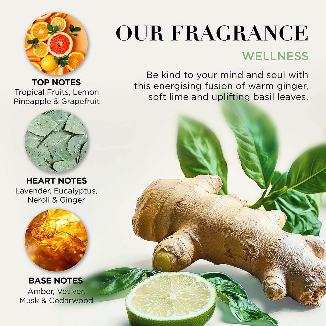 Wellness Tote Bag Of Treats Gift Set - Multi