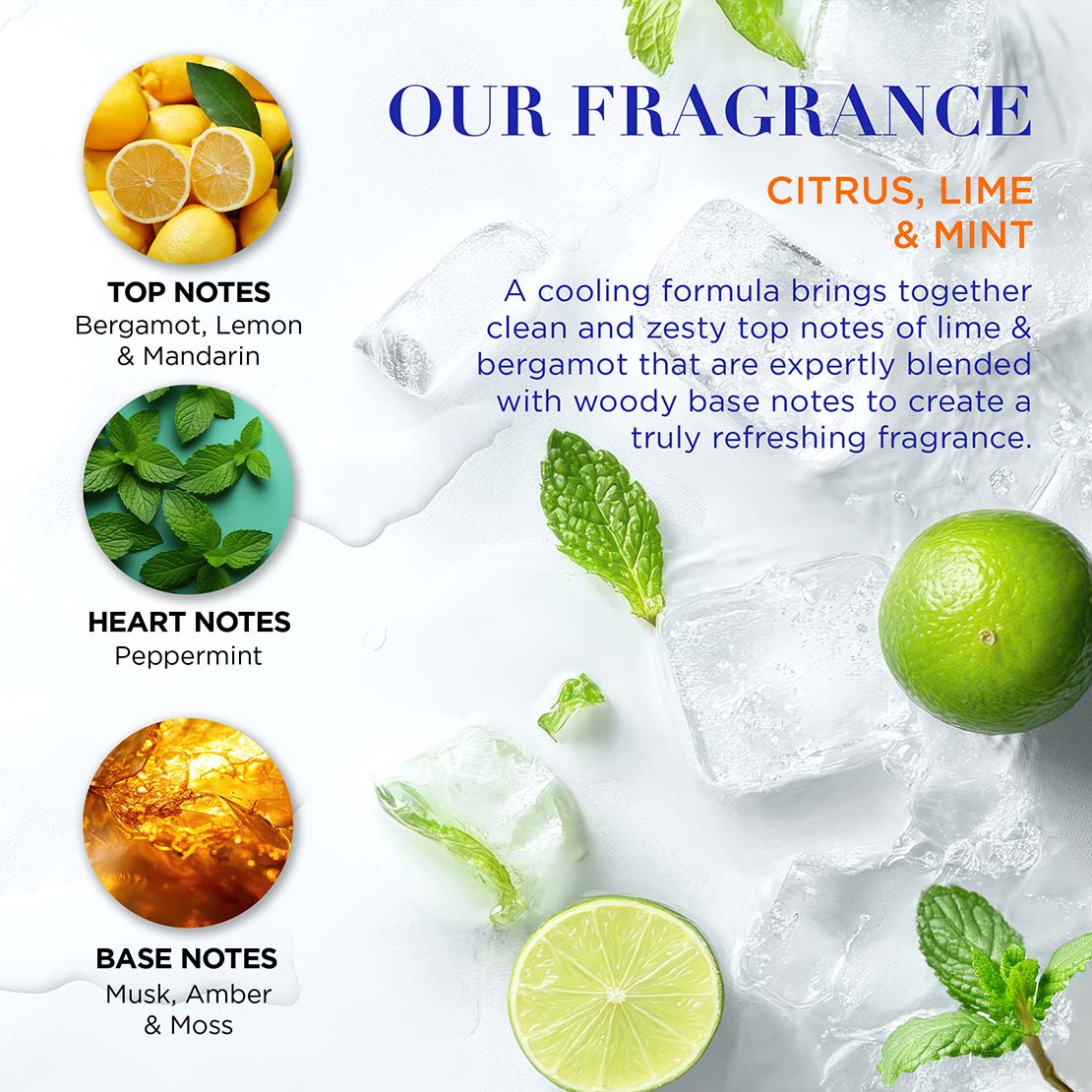 Citrus, Lime &amp; Mint Men&