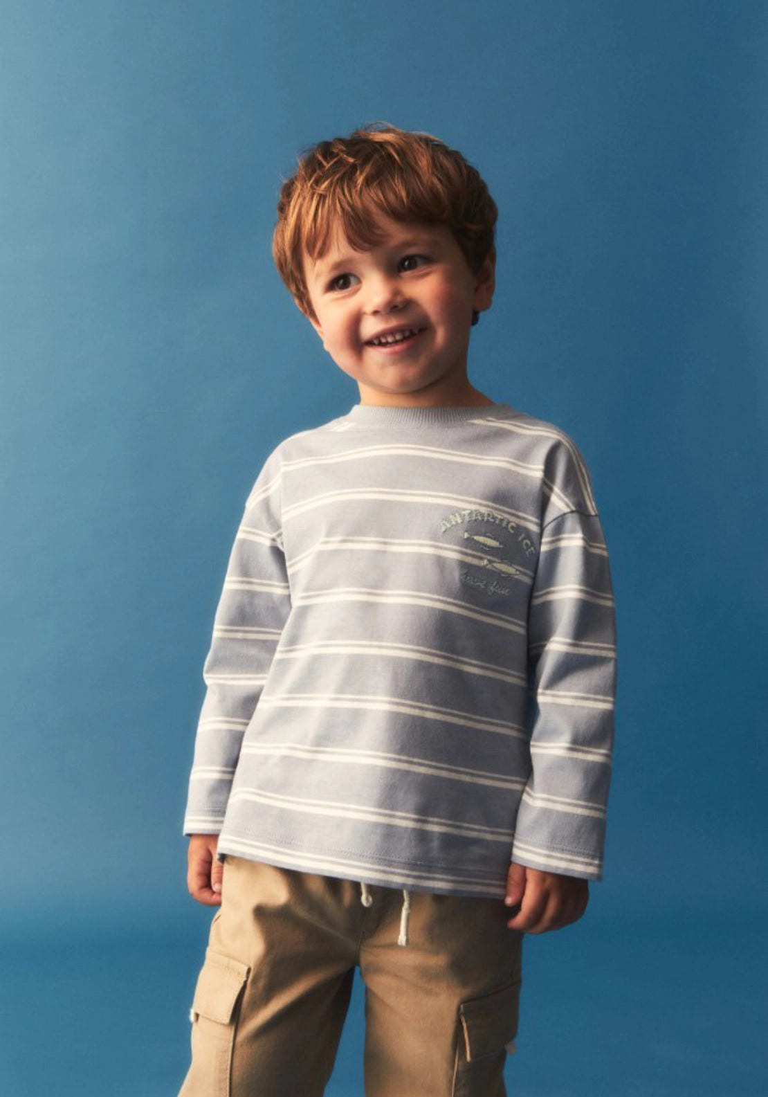 Striped Crew Neck T-Shirt - Blue