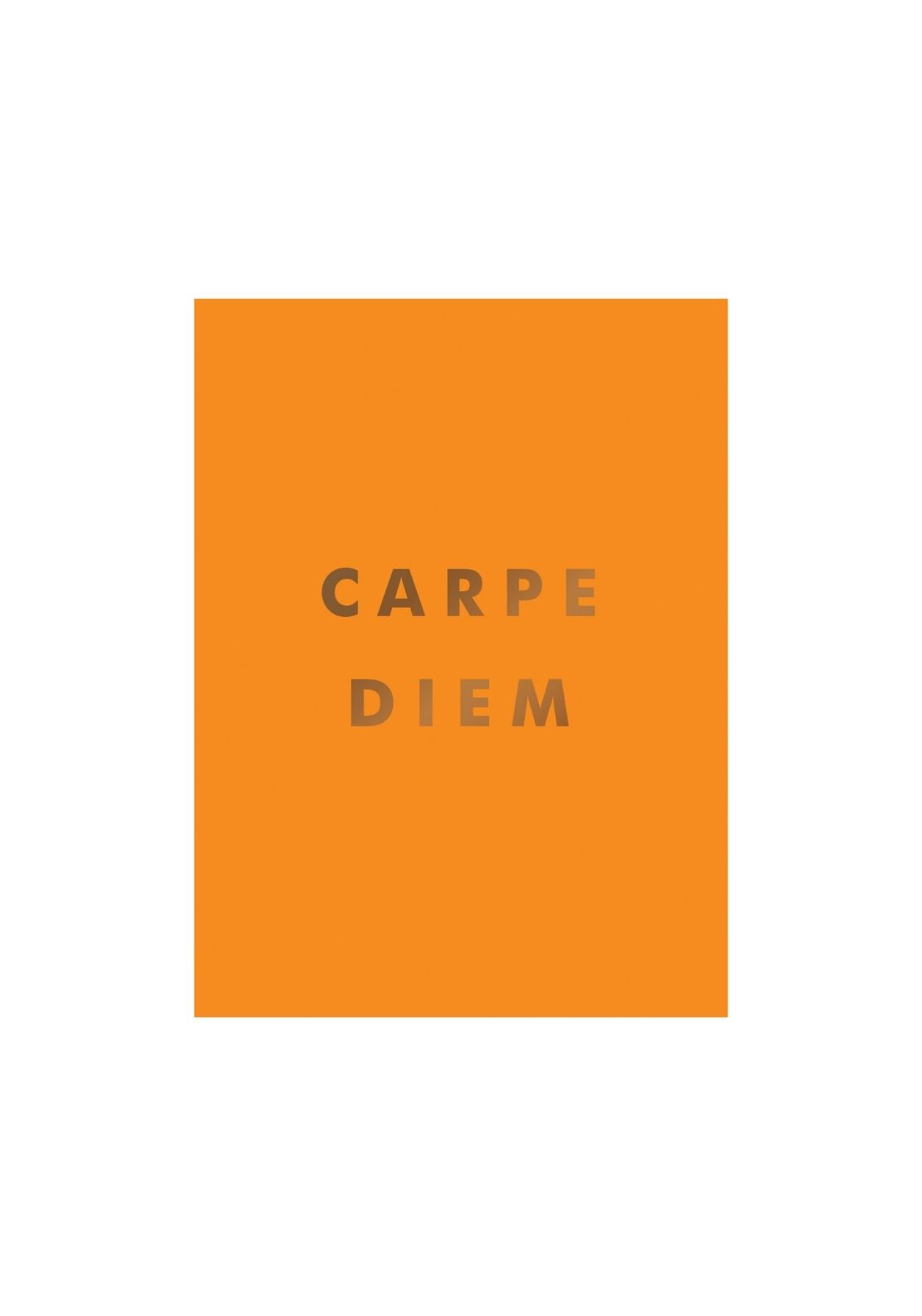 All Sorted Carpe Diem 1 Shaws Department Stores