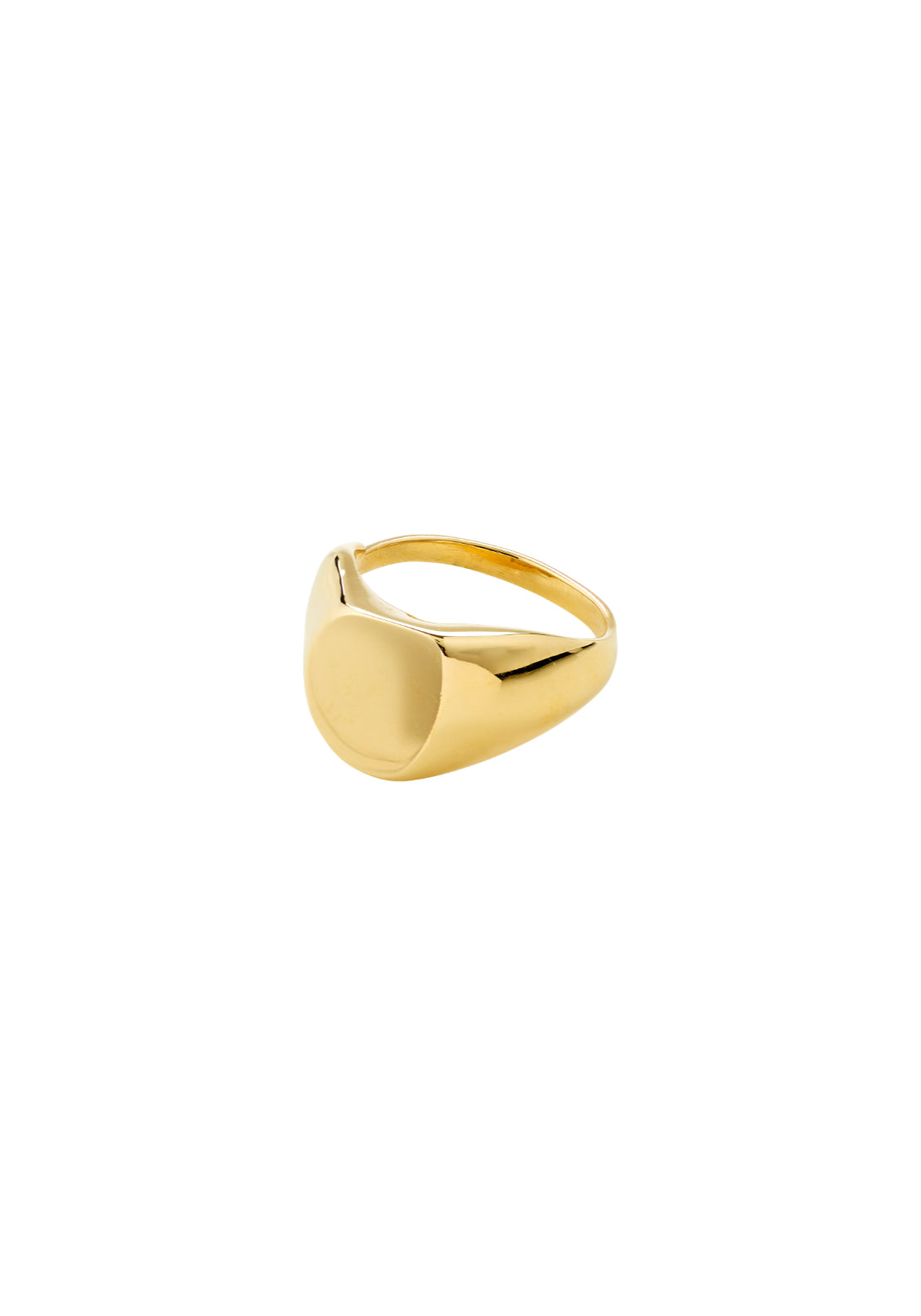 Presence Gold Plated Ring - Gold