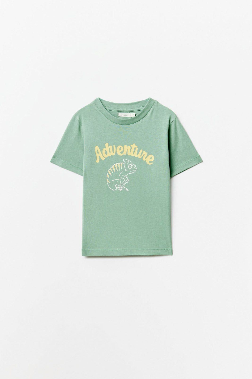 Sfera Printed short-sleeved T-shirt - Green 1 Shaws Department Stores