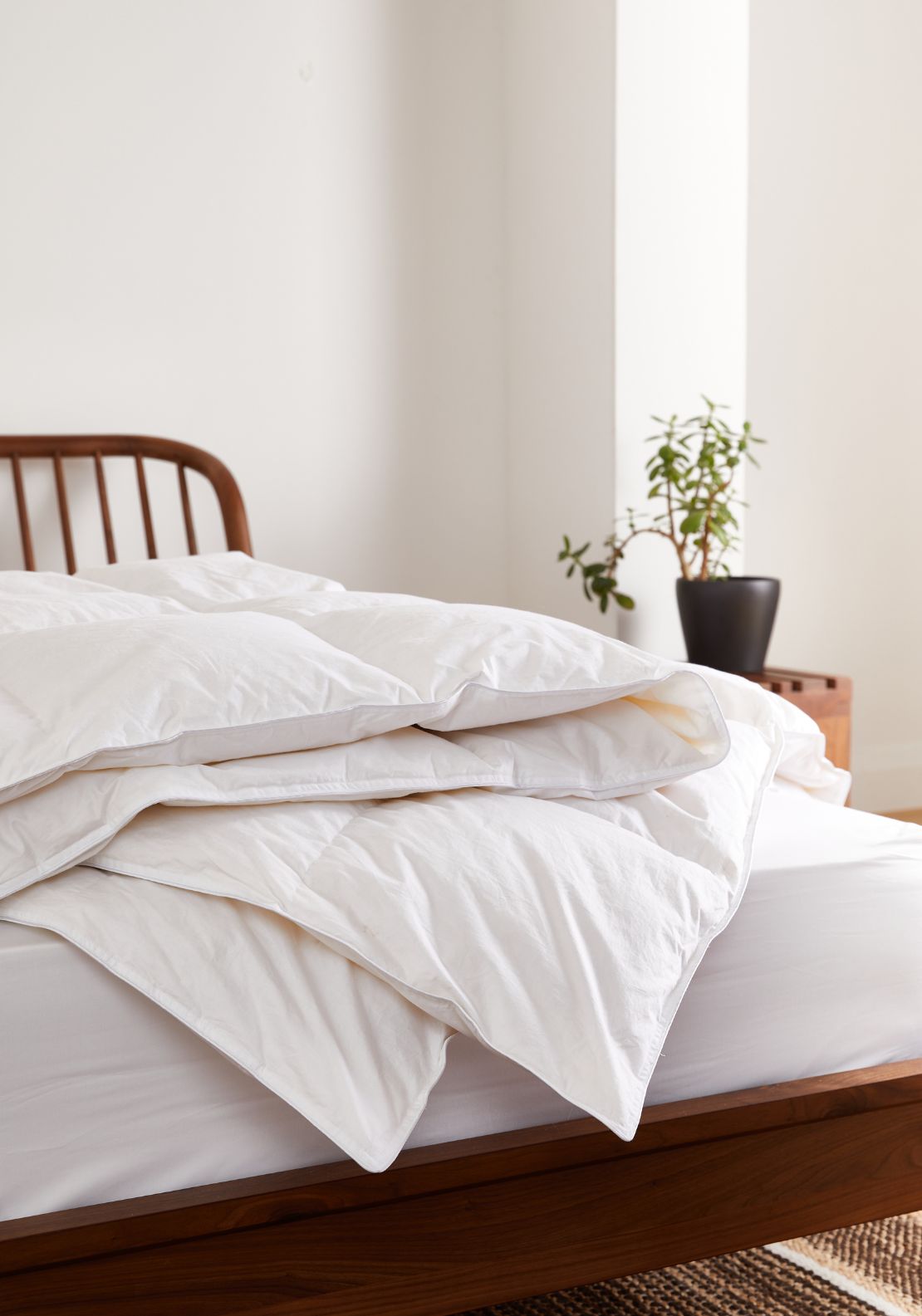 Foxford 100% Cotton Microfibre Duvet 15 Tog 1 Shaws Department Stores