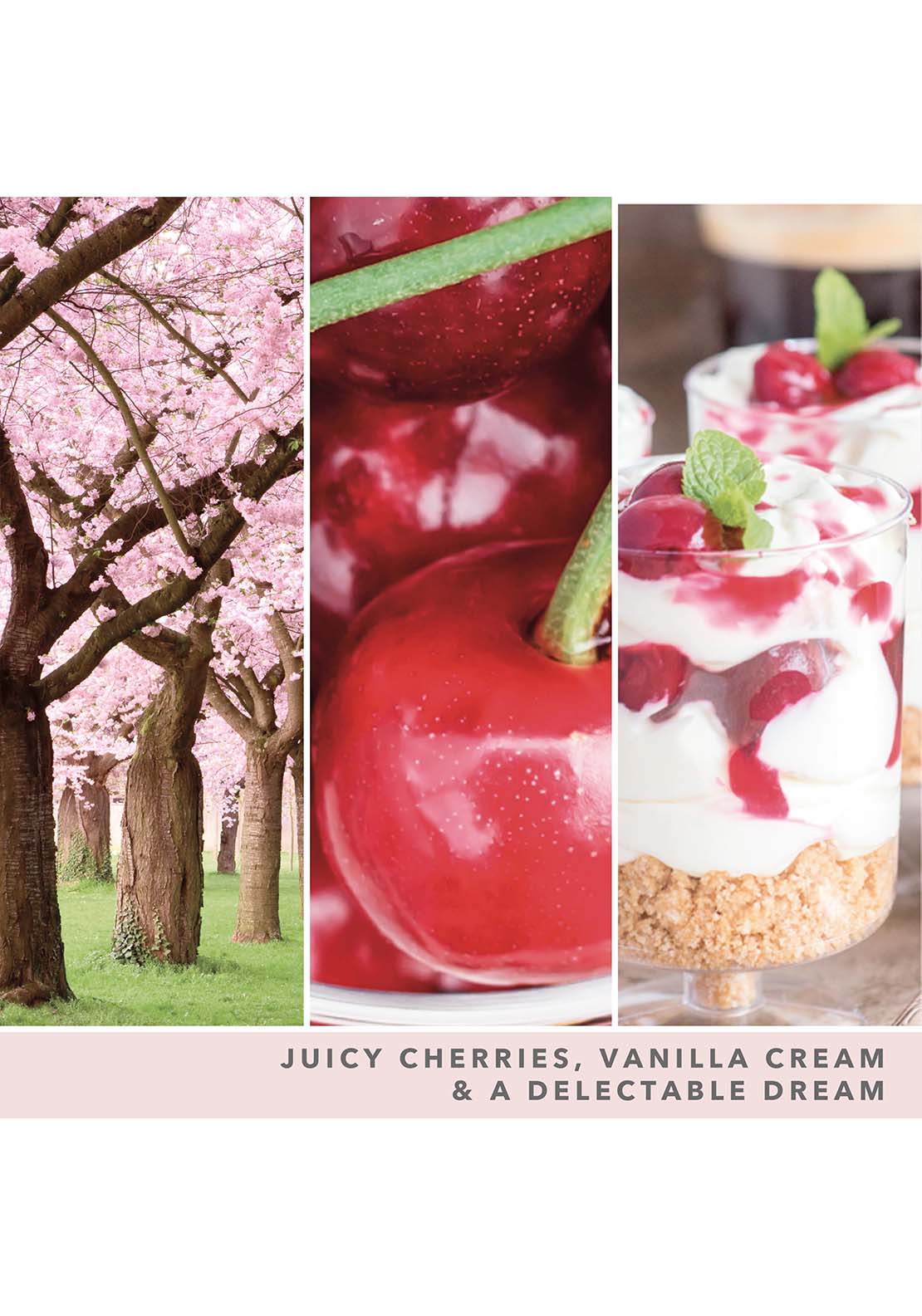 Yankee Candle Yankee Large Tumbler Pink Cherry Vanilla 5 Shaws Department Stores