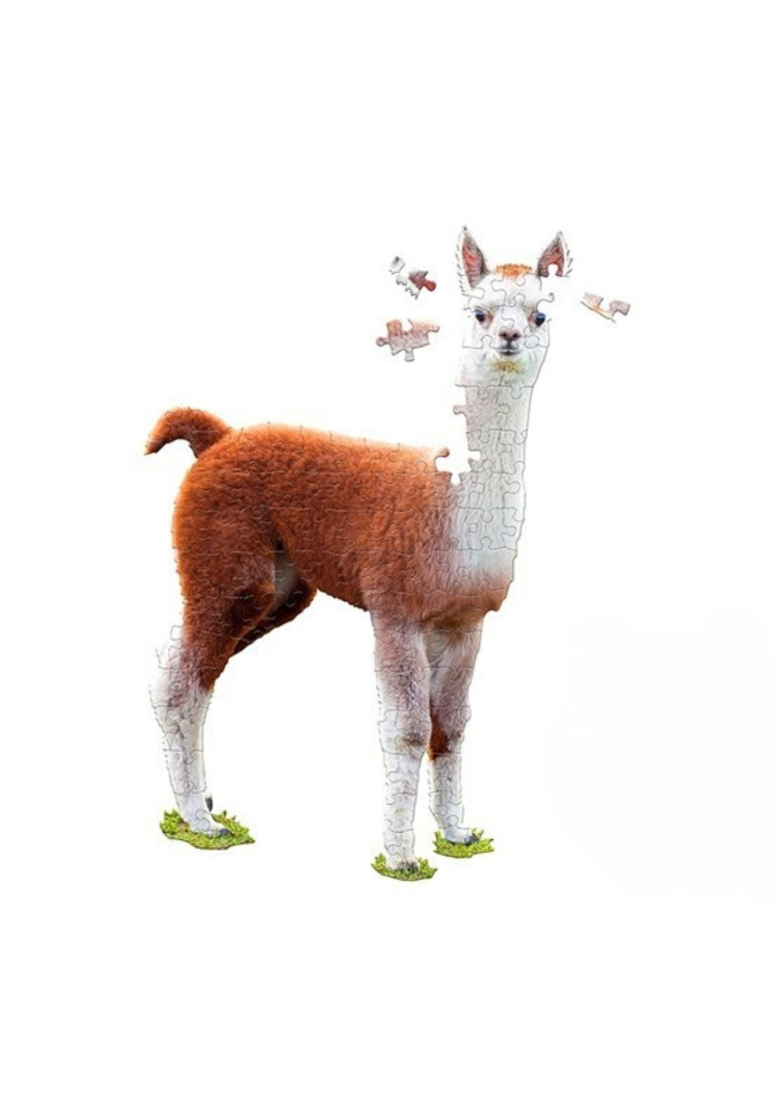 The Home Collection Llama Shaped 100 Piece Jigsaw Puzzle 1 Shaws Department Stores