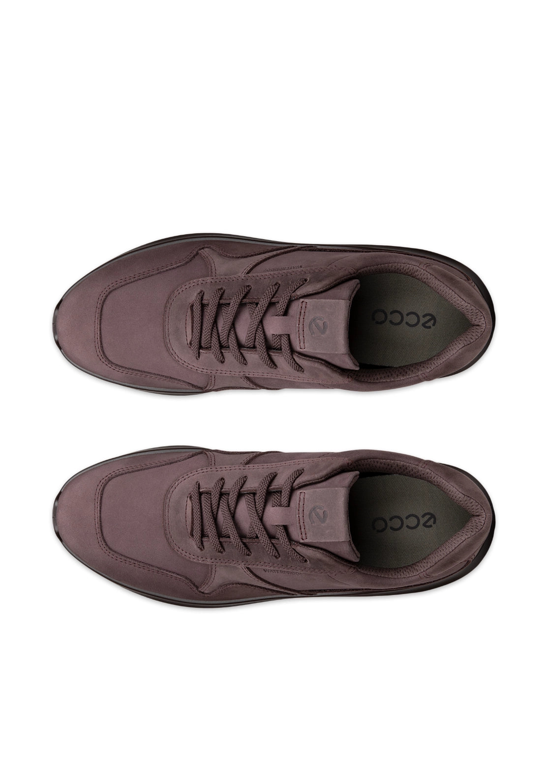 Valerie Lace Trainer - Purple