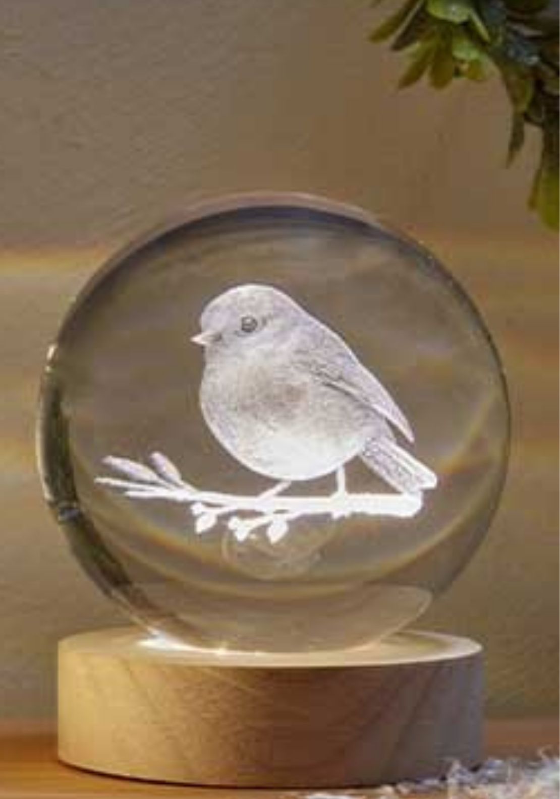 The Home Christmas Inlit Glowball Robin - Multi 2 Shaws Department Stores