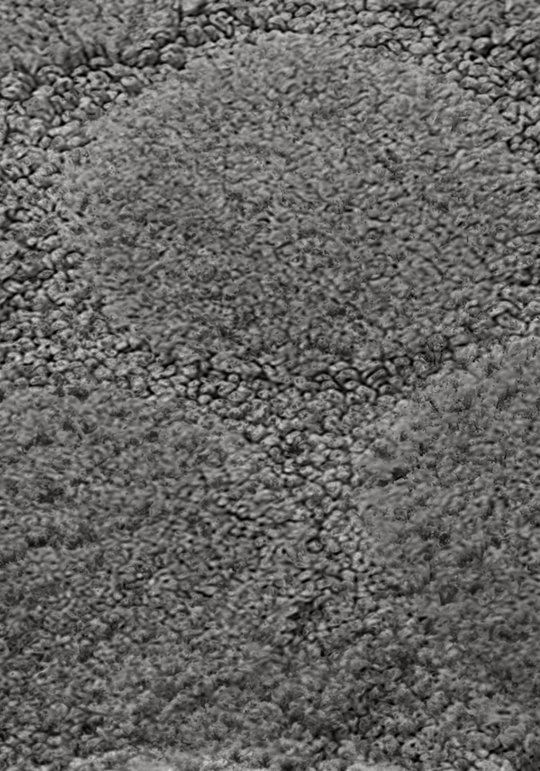 The Home Collection Cobla - Bath Mat 3 Shaws Department Stores