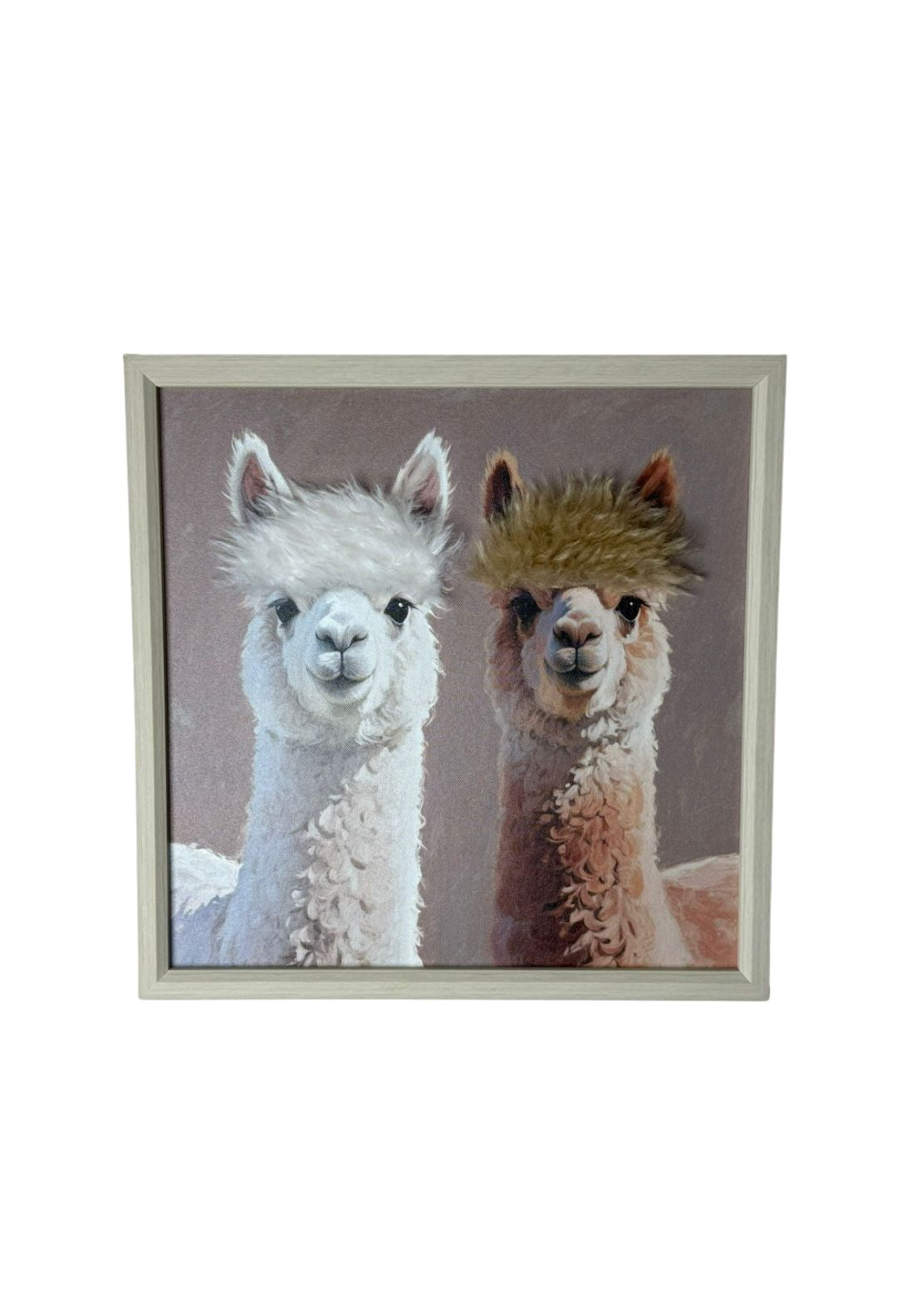The Home Collection Two Alpacas Canvas - Multi 1 Shaws Department Stores