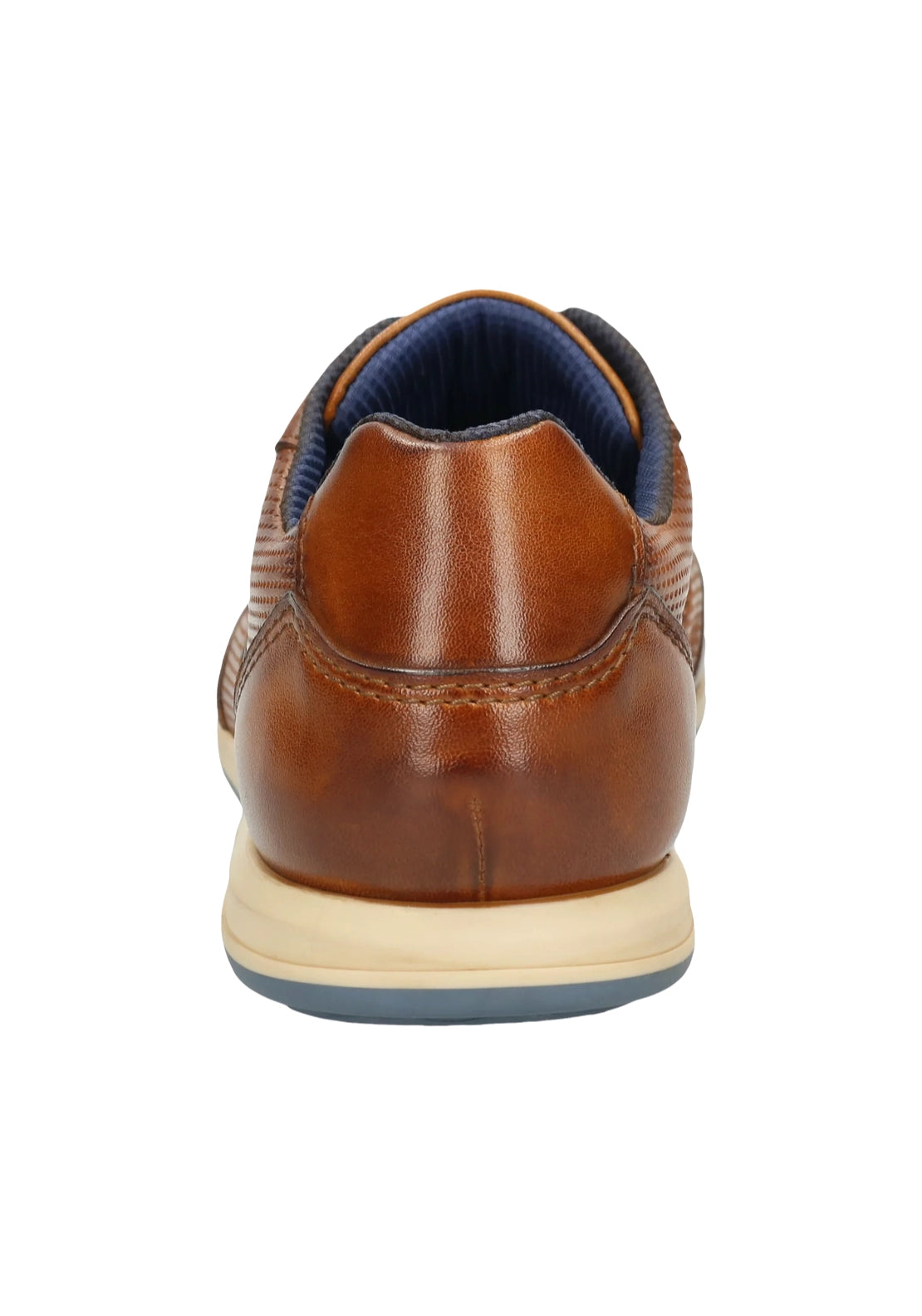 Thorello Sneaker - Brown
