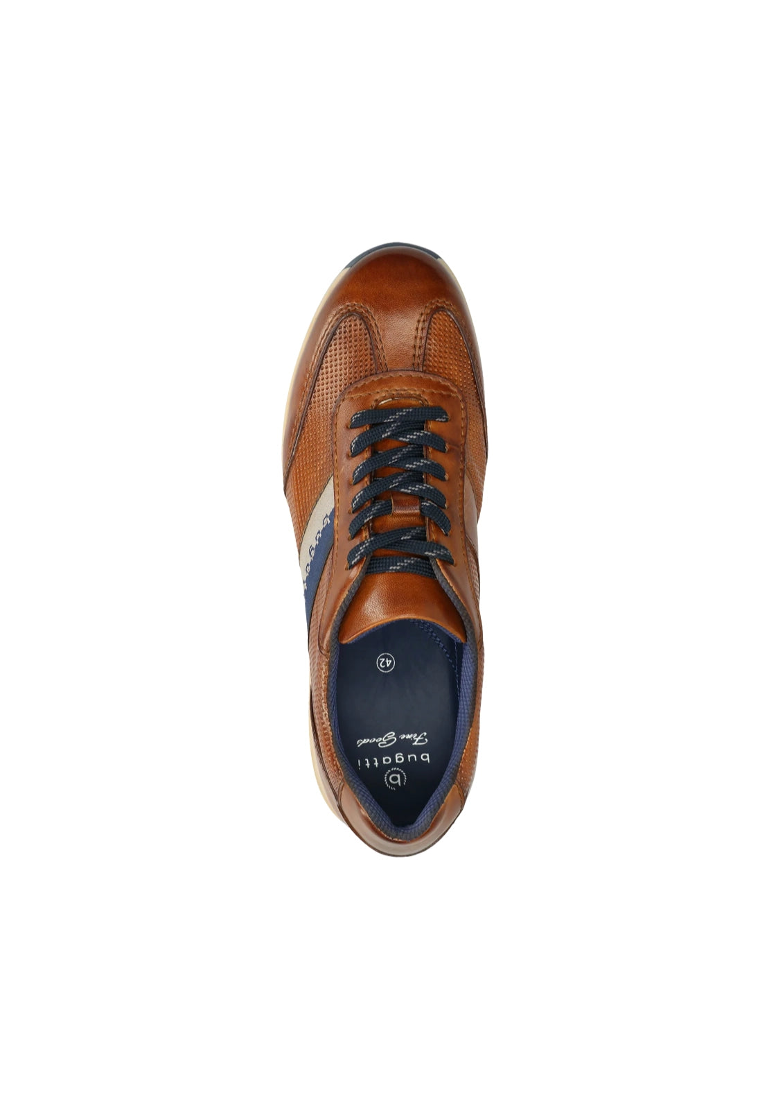 Thorello Sneaker - Brown