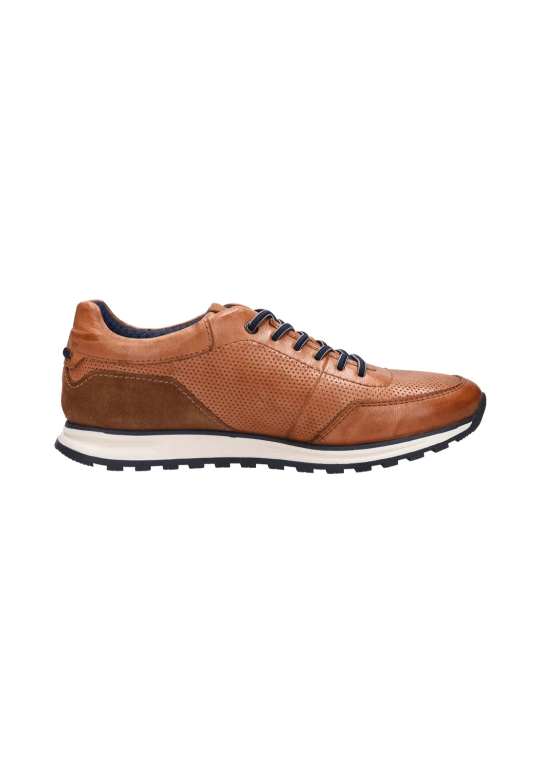 Cirino Leather Sneaker - Brown