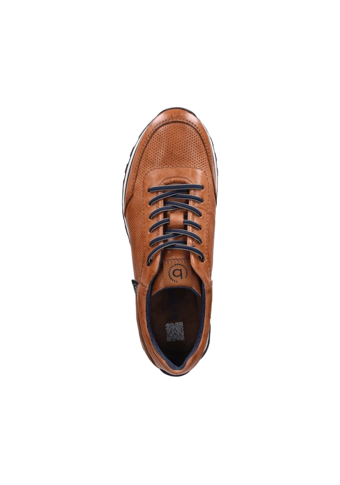 Cirino Leather Sneaker - Brown