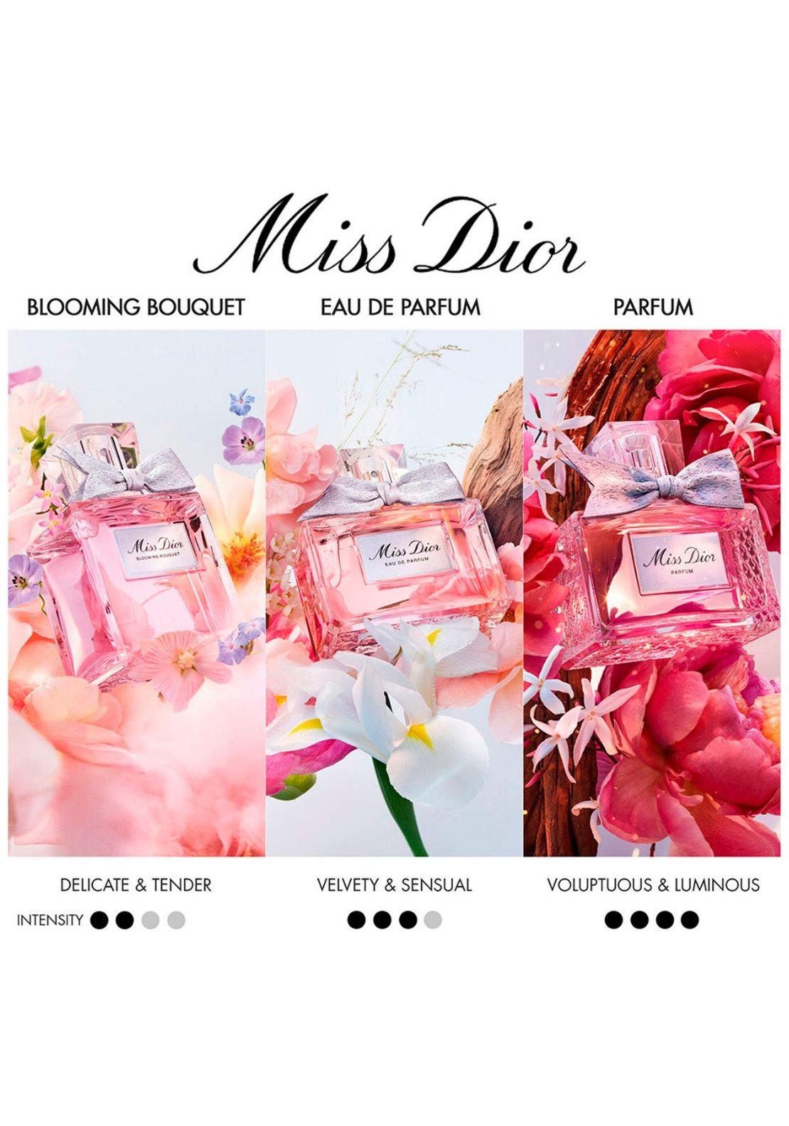 Miss Dior Parfum