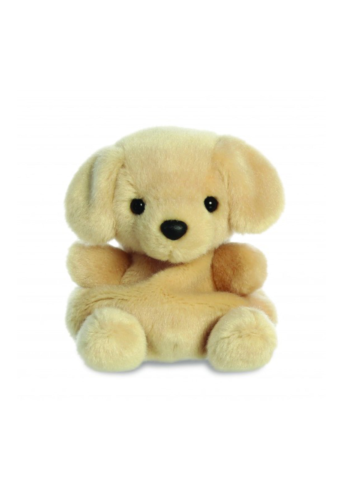 Sunny Labrador Dog - Nude