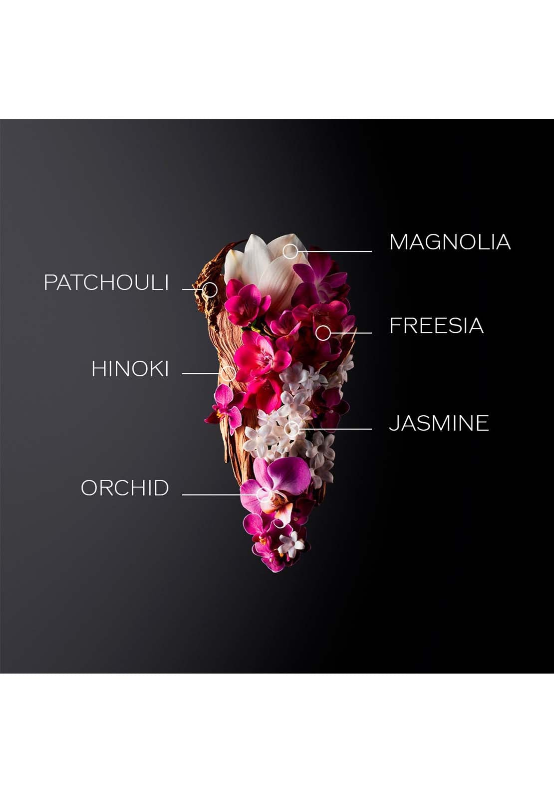 Shiseido Ginza Holiday Kit 3 Shaws Department Stores
