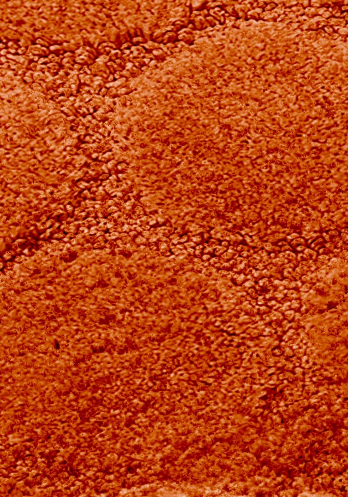 The Home Collection Cobla - Pedestal Mat 2 Shaws Department Stores